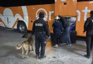 Guardia Estatal refuerza vigilancia con binomios caninos en la Central de Autobuses de Victoria