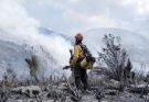 Tamaulipas logra la liquidación total del incendio forestal en Bustamante