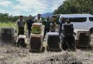¡Vuelven a la vida silvestre! Tamaulipas libera especies tras rehabilitación especializada