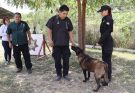 Redobla SSPT medidas de protección a elementos caninos de la Guardia Estatal ante altas temperaturas