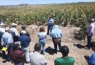 Promueven uso de residuos orgánicos para fortalecer la productividad agrícola
