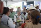 DIF Tamaulipas acerca servicios gratuitos a familias de Llera con la brigada Transformando Familias