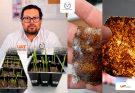 Patenta la UAT bioplásticos que recuperan suelos erosionados.