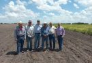 Supervisan avance del cultivo de frijol guar en el norte de Tamaulipas