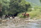 Agrupamiento Montado de la Guardia Estatal refuerza vigilancia en zonas de difícil acceso