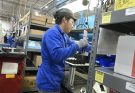 Tamaulipas registra crecimiento de 5.2%, en su actividad económica: INEGI