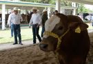 Acerca programa estatal, genética de alta calidad a las y los productores pecuarios
