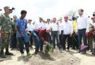 Tamaulipas participa en Jornada Nacional de Reforestación; se plantarán 15 mil árboles: Américo