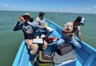 Dan seguimiento técnico al crecimiento de la actividad ostrícola en la Laguna Madre