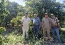 Bioinsumos abren camino a la recuperación de huertas citrícolas en Güémez