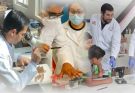 Incrementa UAT ingreso de sus docentes al Sistema Nacional de Investigadoras e Investigadores