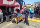 Binomios K-9 de la Guardia Estatal refuerzan la seguridad en Central de Autobuses de Ciudad Victoria